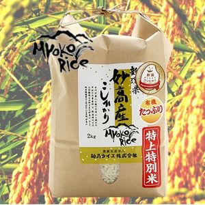 妙高産こしひかり特上特別米