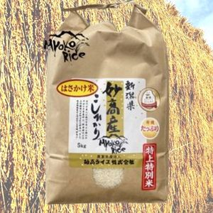 妙高産こしひかり特上特別米 はさかけ米