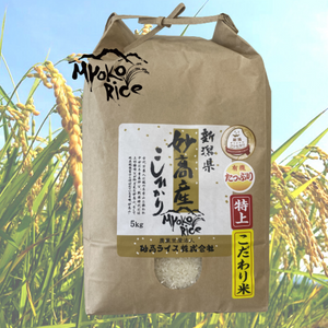 妙高産こしひかりこだわり米